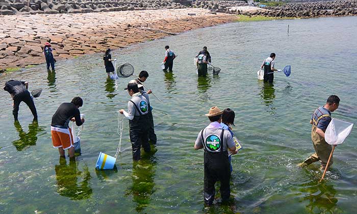 IMPACT Day Osaka Bay Creature Survey